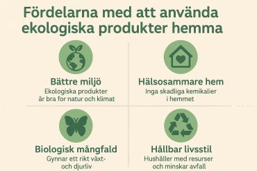 Fördelarna med att använda ekologiska produkter hemma