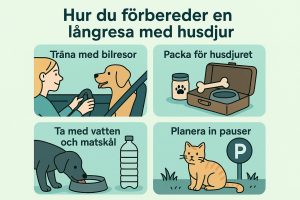 Hur du förbereder en långresa med husdjur Hur du förbereder en långresa med husdjur