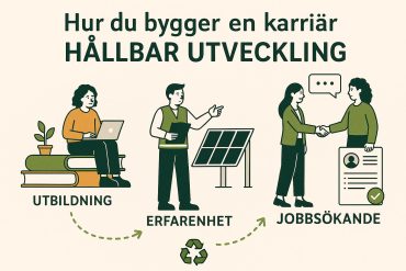 Hur du bygger en karriär inom hållbar utveckling